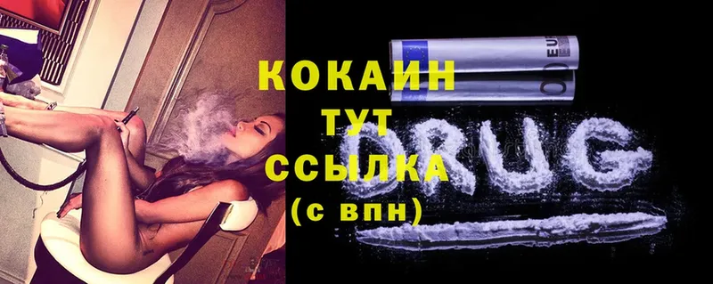 Cocaine FishScale  где найти   Новоалександровск 